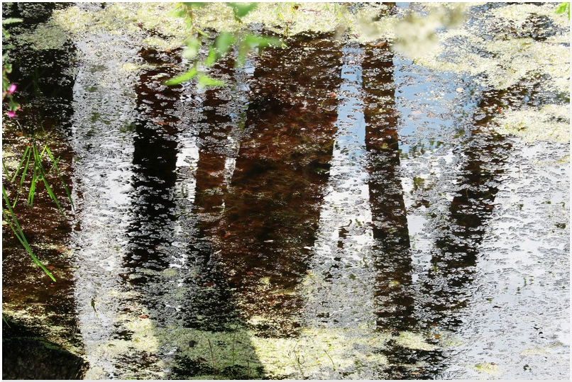 Photo by: Rafal Jablonski