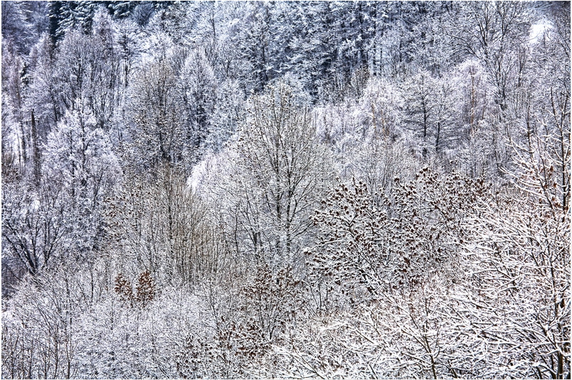 Photo by: Rafal Jablonski