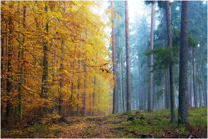 Photo by: Rafal Jablonski