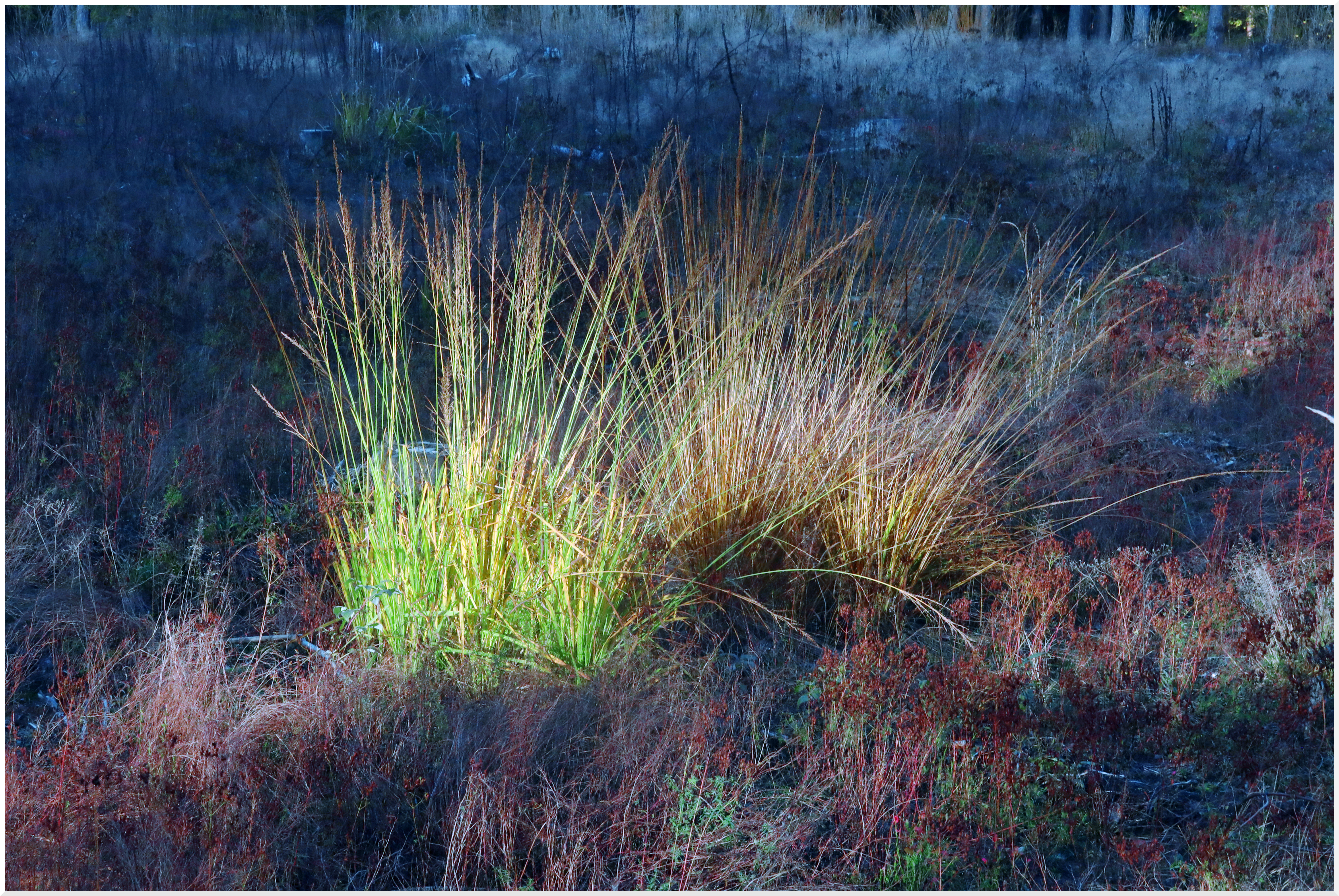 Photo by: Rafal Jablonski