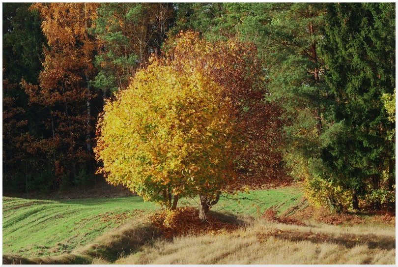 Photo by: Rafal Jablonski